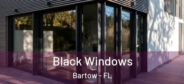  Black Windows Bartow - FL