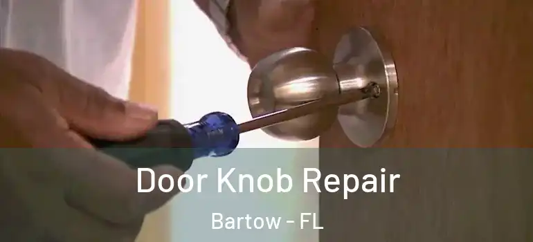  Door Knob Repair Bartow - FL
