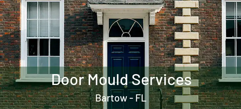  Door Mould Services Bartow - FL
