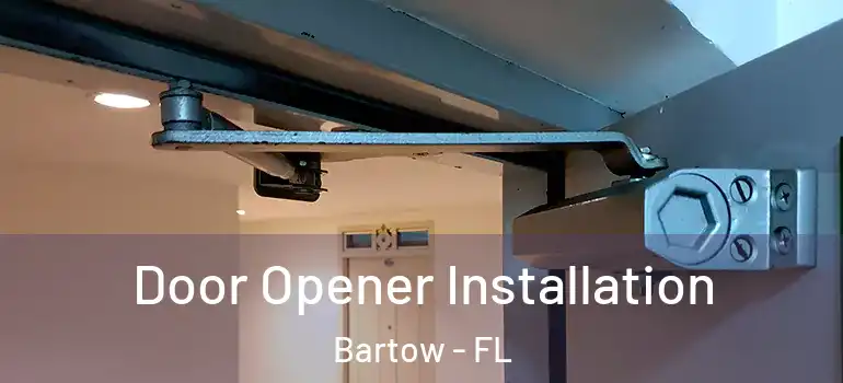  Door Opener Installation Bartow - FL