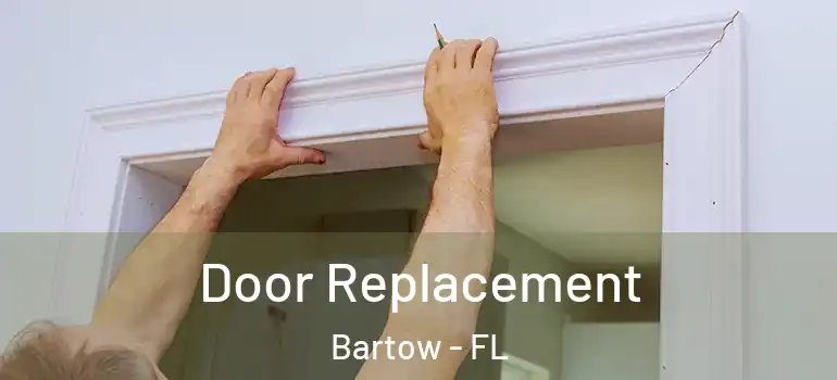  Door Replacement Bartow - FL