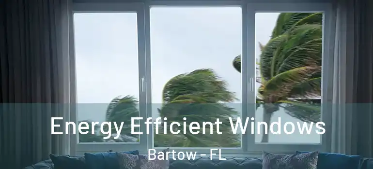 Energy Efficient Windows Bartow - FL