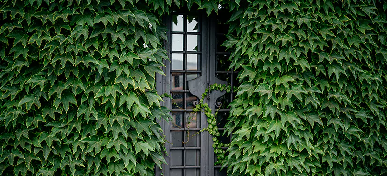 Garden Gate Repair in Bartow, FL