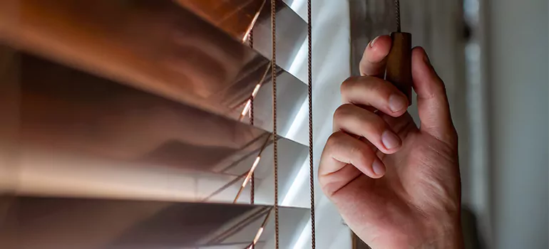 Double Roller Blinds in Bartow, FL