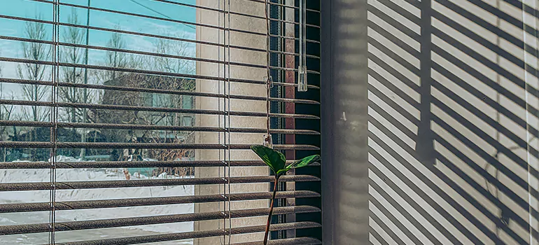 Commercial Window Blinds in Bartow, FL
