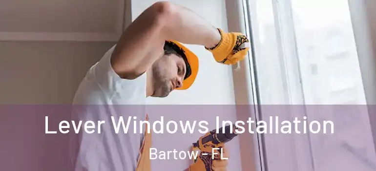  Lever Windows Installation Bartow - FL