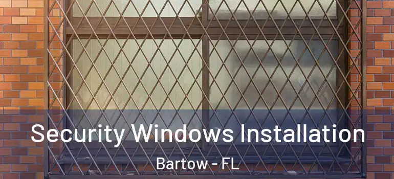  Security Windows Installation Bartow - FL
