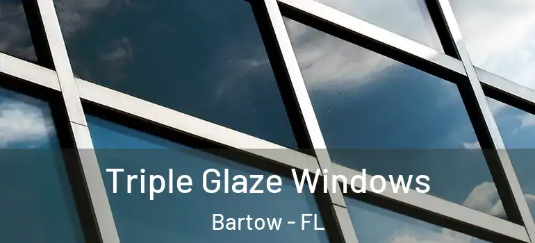 Triple Glaze Windows Bartow - FL