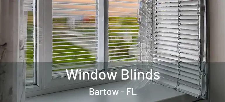  Window Blinds Bartow - FL
