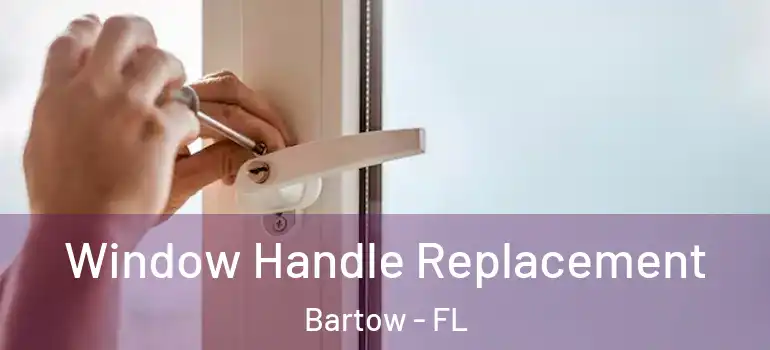  Window Handle Replacement Bartow - FL