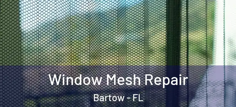  Window Mesh Repair Bartow - FL