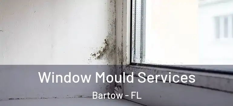  Window Mould Services Bartow - FL