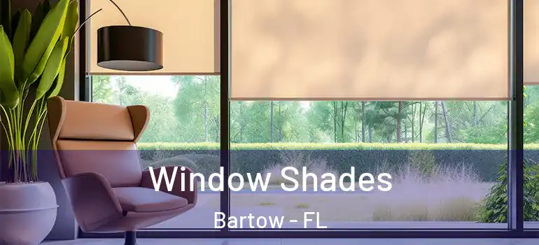  Window Shades Bartow - FL
