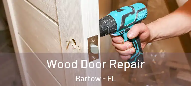  Wood Door Repair Bartow - FL